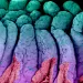De la dysbiose intestinale à l’infection urinaire
