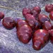 Photo: Dermatite atopique : le mycobiote cutané à la loupe