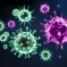 Actu GP : Microbiote et cellules immunitaires : sentinelles de l’intestin