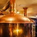 Actu GP : Bière sans alcool, le microbiote intestinal en raffole !