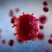 VIH-1 : une dysbiose intestinale bactérienne et virale persiste post infection