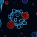 Actu PRO : Et si manipuler le microbiote améliorait la réponse à l’immunothérapie ?