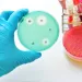 Actu PRO : La transplantation fécale, solution à l’antibiorésistance chez les patients immunodéprimés ?