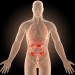 Actu PRO : Crohn : Le microbiote intestinal prédictif des récidives ? 