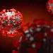 Actu PRO : Microbiote intestinal et Covid-19 : ce que les experts savent, ce qu’ils supposent