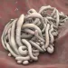 Actu PRO : La place des parasites dans l’écosystème intestinal