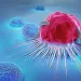 Actu PRO : A chaque tumeur son microbiote