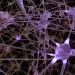 Actu PRO : Alcoolisme : expliquer les troubles sociaux grâce au microbiote