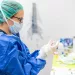 Actu PRO : Dysbiose intestinale chez les macaques infectés par le SARS-CoV-2