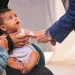 Actu PRO : Malnutrition : agir sur le microbiote pour améliorer la croissance, un prototype à l’essai