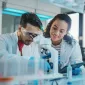 Foundation HUB page