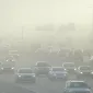 Actu GP : La pollution à l’ozone modifierait le microbiote intestinal