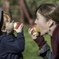 Actu GP : Mangez des pommes, c’est bon pour votre microbiote intestinal !