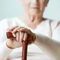 Actu GP : Parkinson et microbiote intestinal : un lien ?