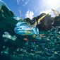 Actu GP : Océan de plastique : menace sur les bactéries marines