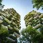 Actu GP : Comment l’urbanisation influence-t-elle notre microbiote ?