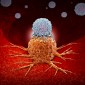Actu PRO: Immunothérapie et cancer : pas d’antibiothérapie préalable