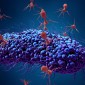 Actu PRO : Greffe fécale et infection récidivante à Clostridium difficile : des bactériophages essentiels chez les donneurs