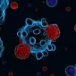Actu PRO : Et si manipuler le microbiote améliorait la réponse à l’immunothérapie ?