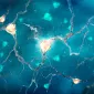 Actu PRO : Maladie d’Alzheimer : implication du microbiote buccal confirmée