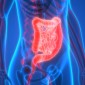 Actu PRO : Crohn : le microbiote iléal, facteur prédictif de récidive ? 