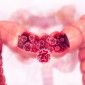 Actu PRO : Cancer colorectal : un rôle pour le virome et le mycobiome ?
