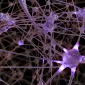 Actu PRO : Alcoolisme : expliquer les troubles sociaux grâce au microbiote