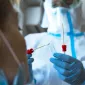 Actu GP : Covid-19 : le microbiote intestinal sur le banc des accusés ?