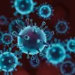 Actu PRO : Covid-19 : le microbiote intestinal impliqué ?