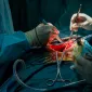 Actu PRO : Greffe de poumon : le microbiote pulmonaire, un indicateur fiable pour prédire le rejet ? 