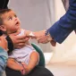 Actu PRO : Malnutrition : agir sur le microbiote pour améliorer la croissance, un prototype à l’essai