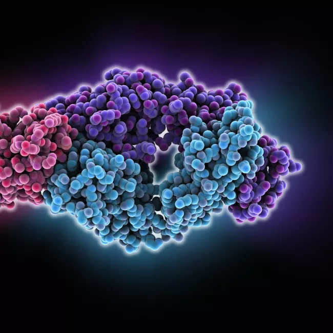 Microbiote déséquilibré à 1 an, allergie à 5 ans ?
