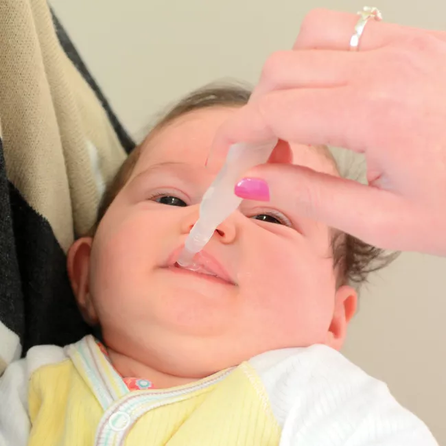 newsletter 3 - synthese