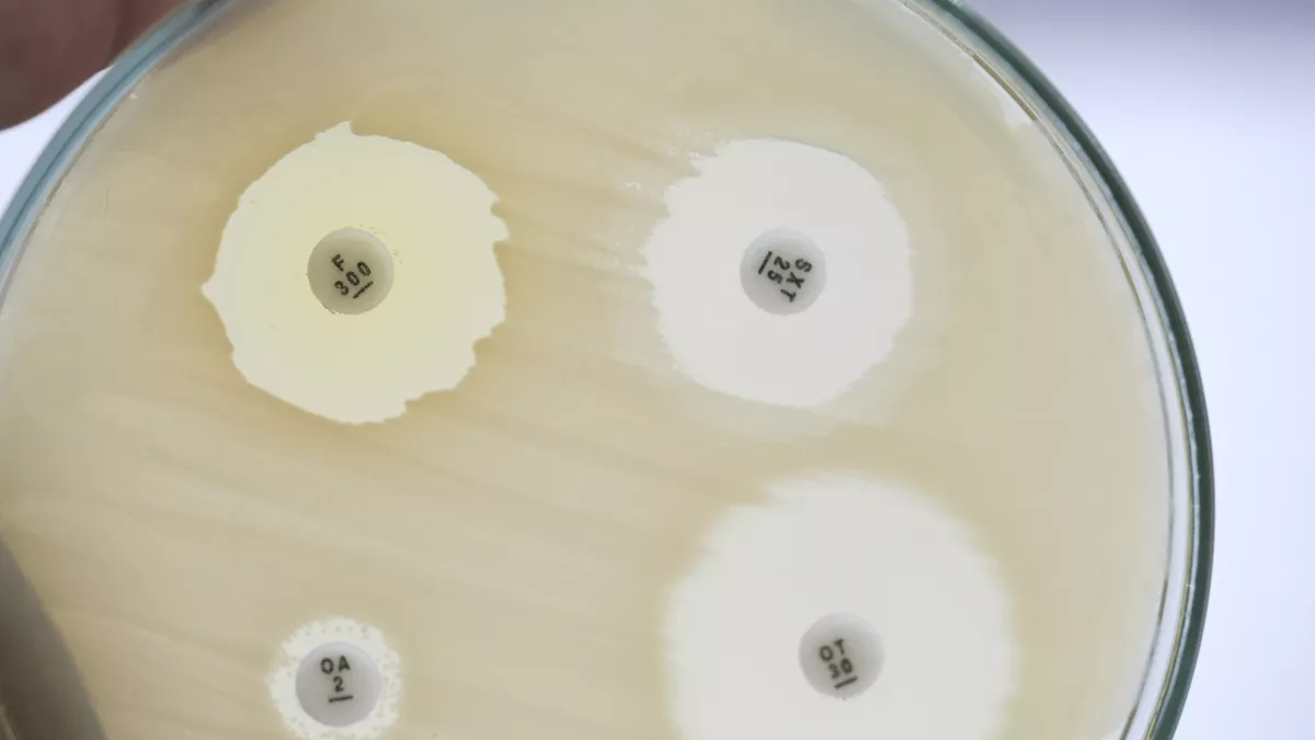 Discovery of a “grey area” between bacteriostatic and bactericidal