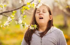 Allergies : et si tout venait du microbiote ?
