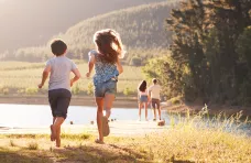 Photo Observatoire: push LP