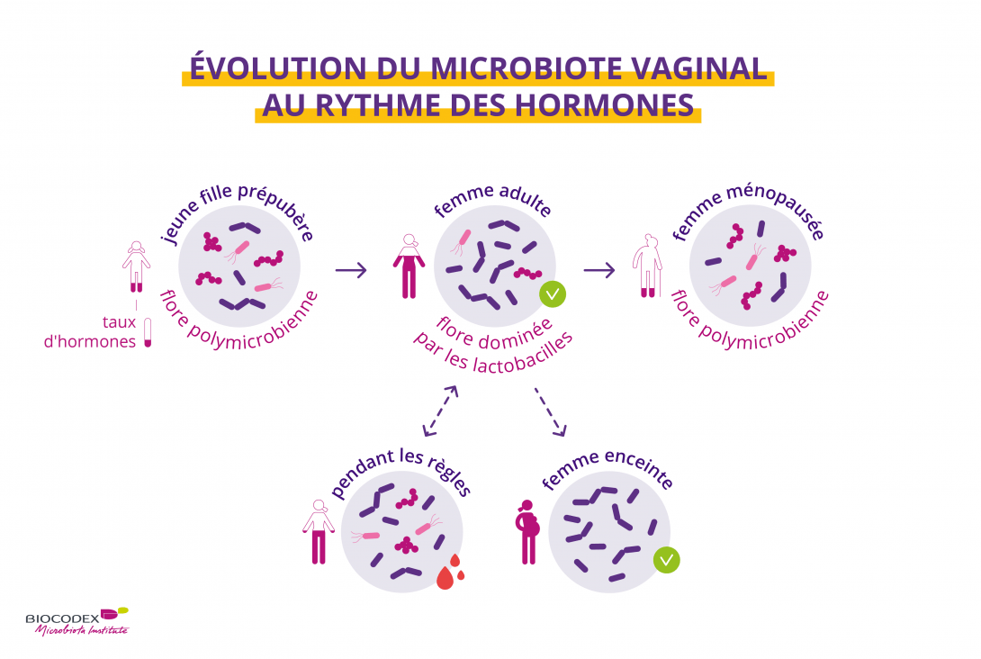 Règles et microbiote vaginal : les progrès de la science ...