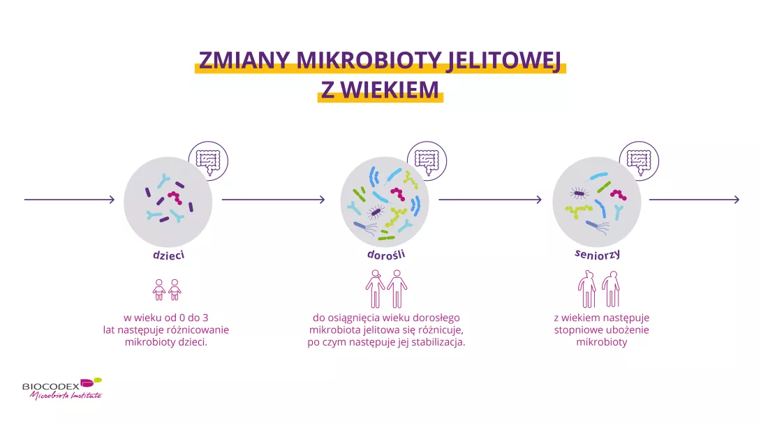 Evolution of the gut microbiota according to age_pl