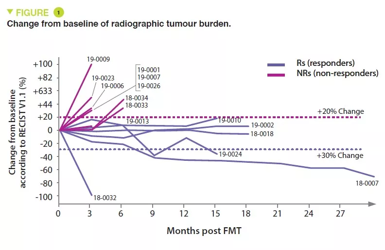 NL13_H Sokol Figure 1 EN