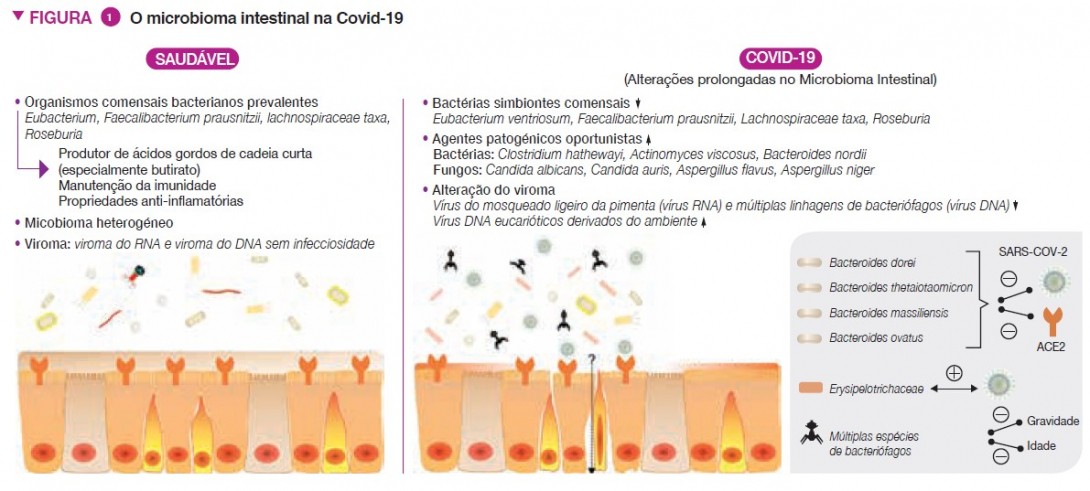 Covid 12_fig 1 PT