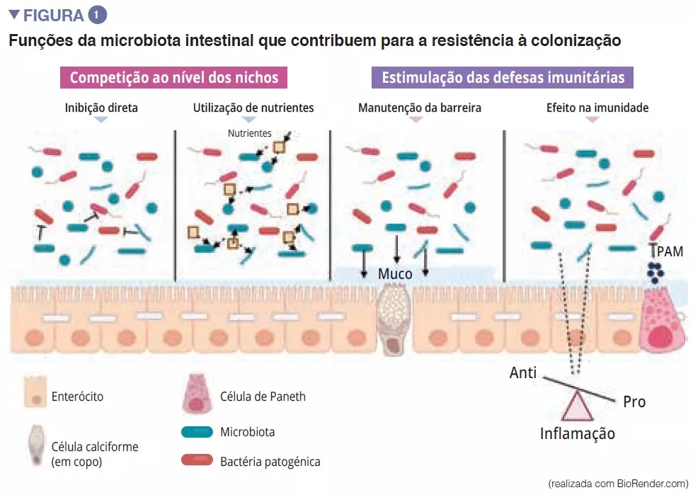 Overview 12_fig 1 PT