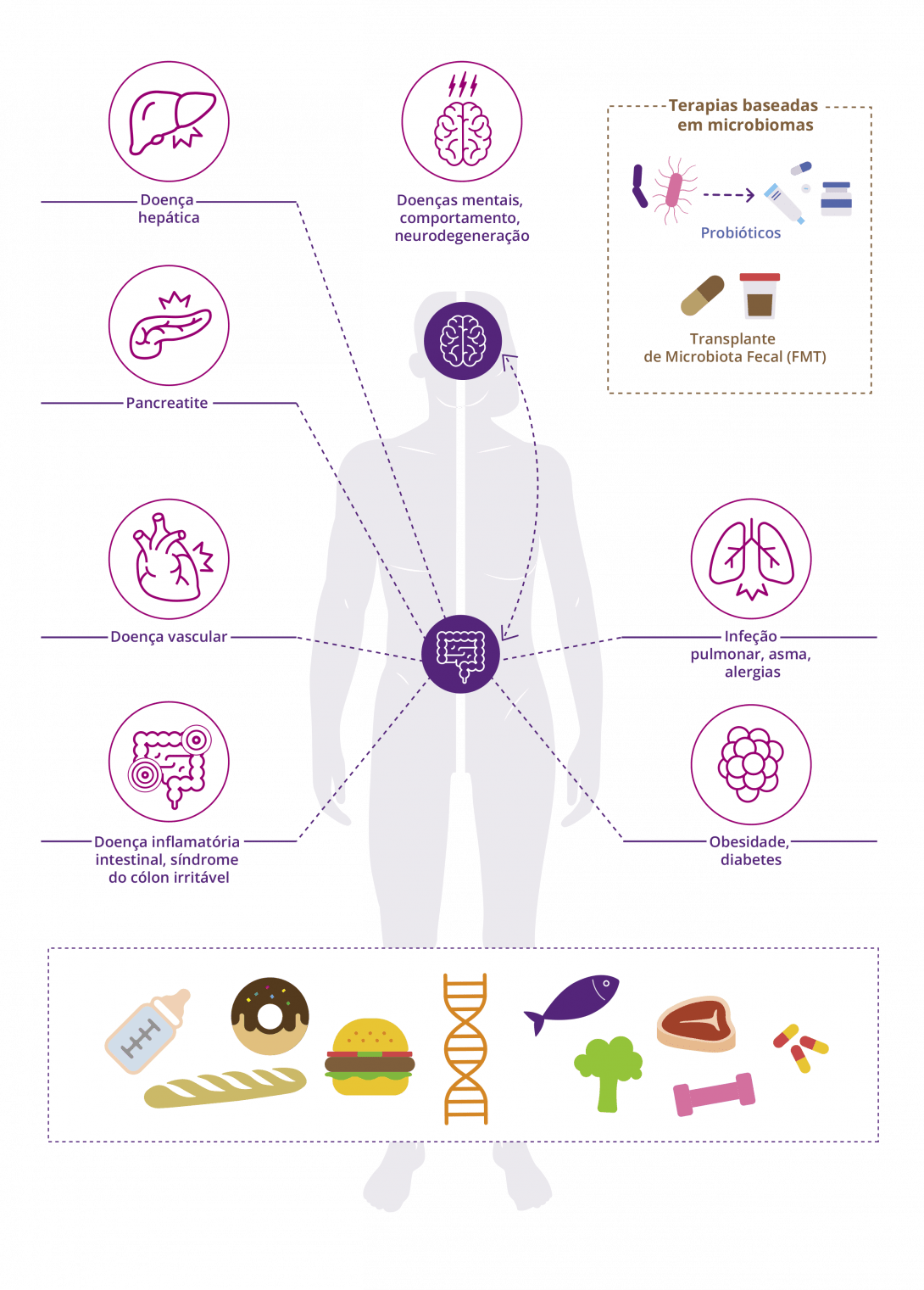 [infographic] The role of the gut microbiota in human health (PT)