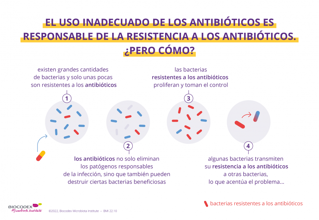 WMD_quiz antibioticos 4_ES