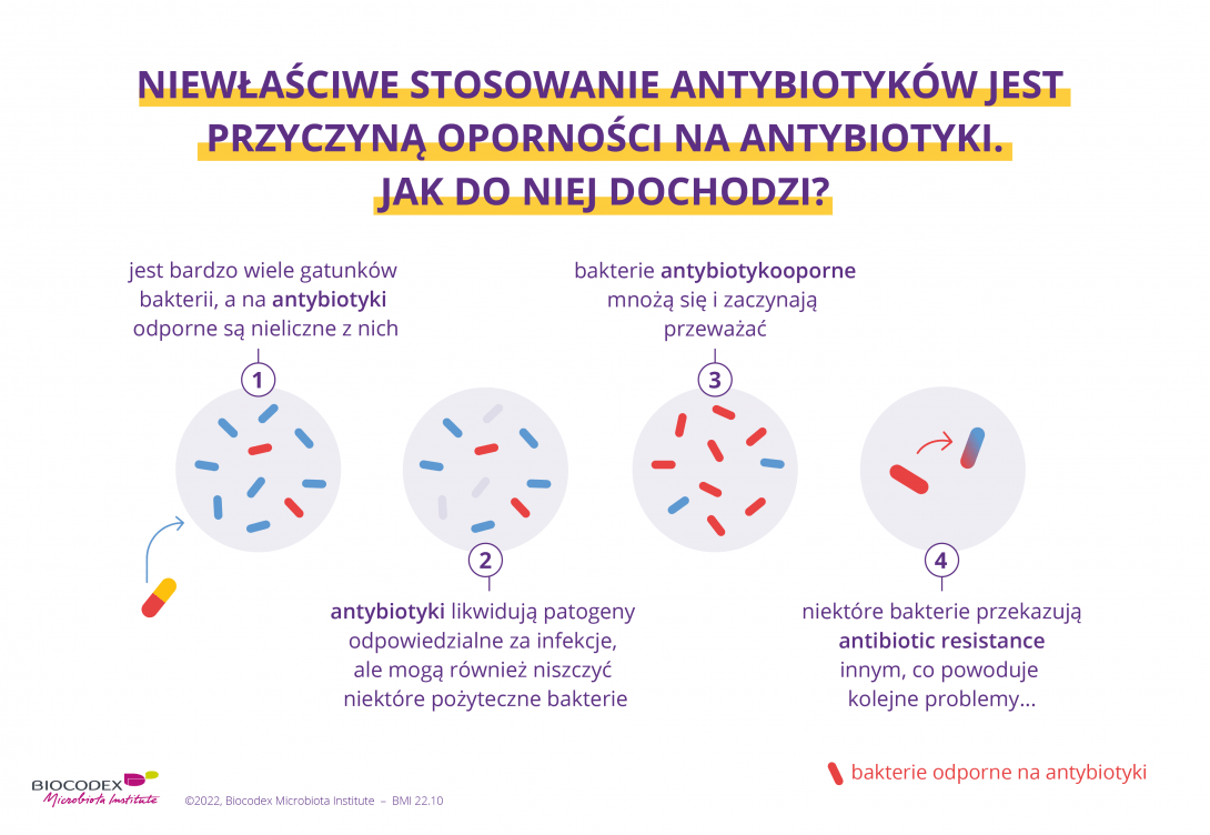 WMD_quiz antibiotyki 4_PL