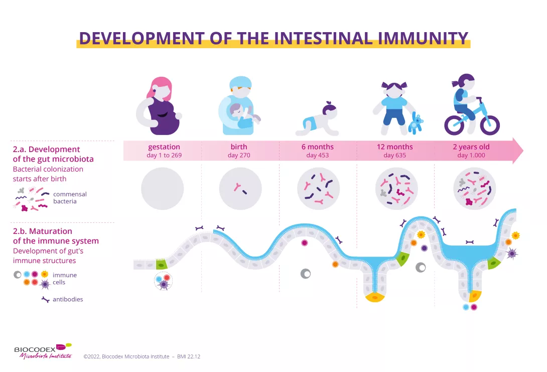 From birth to death, an exposome with different consequences on our ...
