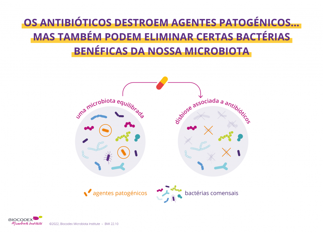 Antibióticos são bem conhecidos por destruir patógenos, mas poucos sabem que eles também podem eliminar certas bactérias benéficas, chamadas comensais de nossa microbiota