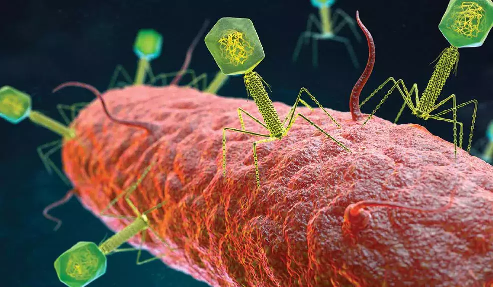 Microbiota 16 Congress review image