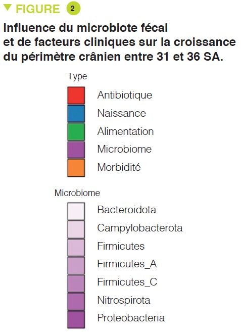 Microbiota 16 FR articles commentés enfant Fig2_1