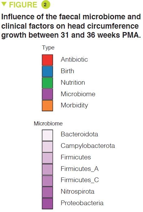 Microbiota 16 articles commentés enfant Fig2_1