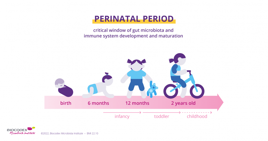 Infog: Perinatal Period - EN